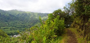 Manoa Cliff Hike
