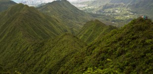 Old Pali Hike