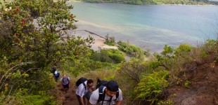 Pu'u Manamana Ridge Hike