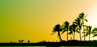 Aloha Skies