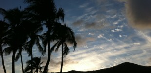 Aloha Skies